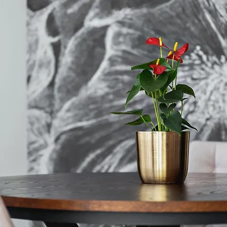 Margi Dali Prestige Lux Hanza Tower